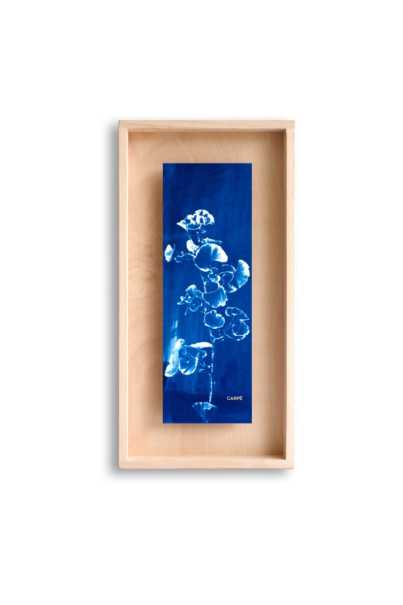 swabdesign – Cyanotype dans cadre en bois swabdesign – Cyanotype dans cadre en bois