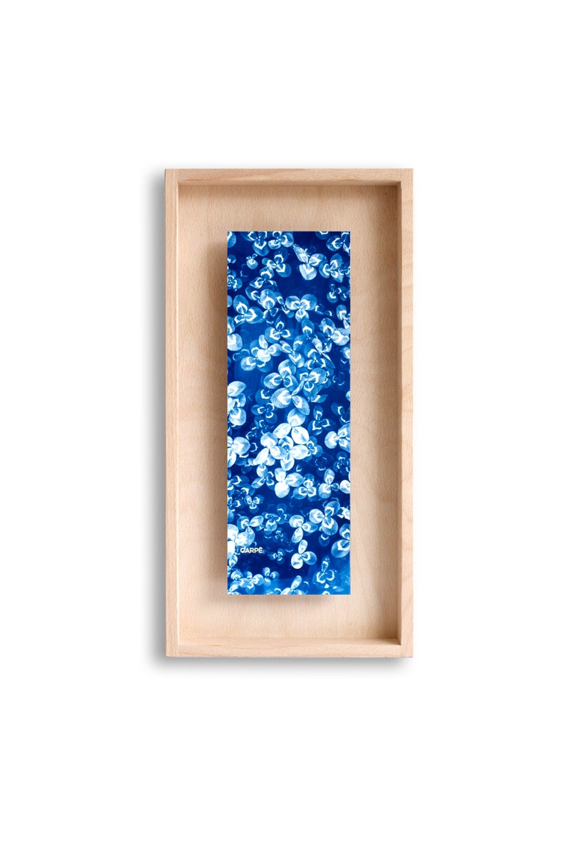 swabdesign – Cyanotype dans cadre en bois swabdesign – Cyanotype dans cadre en bois