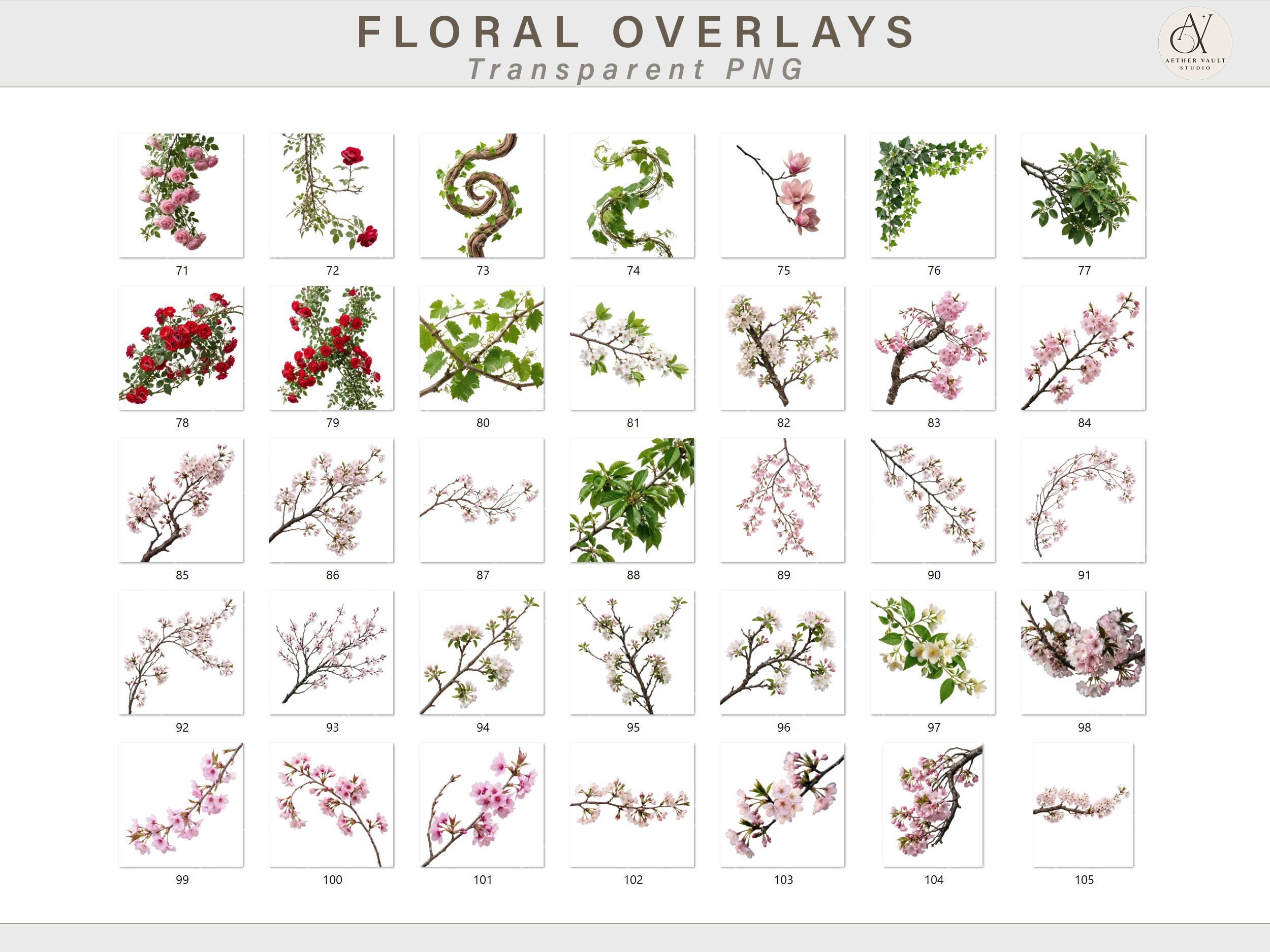 180+ Floral Overlays PNG | Transparent Flower Overlays | Nature ...