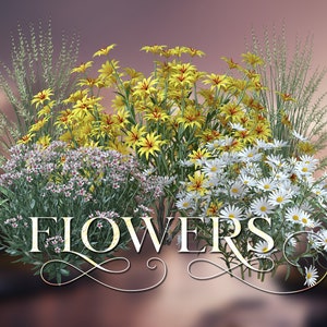 Flowers overlays Backdrop Photo Overlays , Photography Backgrounds and Backdrops