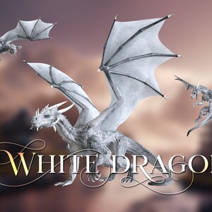 Dragon overlays Backdrop Photo Overlays , Photography Backgrounds and Backdrops and overlays