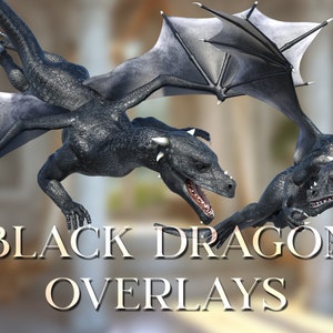 May include: Two black dragons with wings outstretched, flying in front of a blurred background. The text "BLACK DRAGON OVERLAYS" is in the foreground.