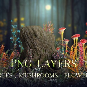 Fantasiskog Png-lager