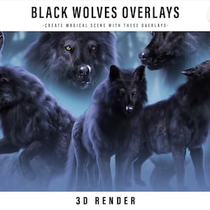 Op de afbeelding: Een digitale kunstcompositie met verschillende zwarte wolven in diverse poses. De afbeelding bevat de tekst "BLACK WOLVES OVERLAYS" en "CREATE MAGICAL SCENE WITH THESE OVERLAYS". De woorden "3D RENDER" zijn ook aanwezig.