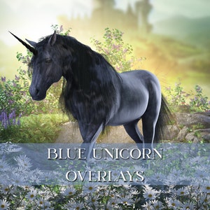 Digitales blaues Einhorn, Fantasy Einhorn, Einhorn Overlays