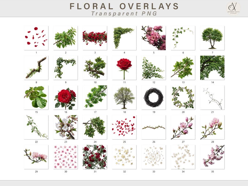 180+ Floral Overlays PNG | Transparent Flower Overlays | Nature ...