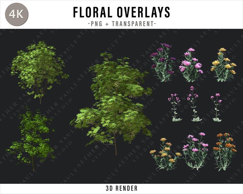 Floral Overlay PNG Bundle, Flower Photo Overlays, Transparent Floral ...