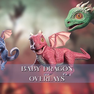 Digital Baby Dragon Overlays , Fantasy Dragon , Overlays , PNG