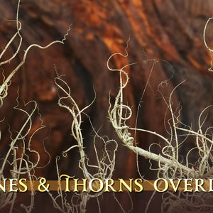 May include: A digital illustration of several white vines with thorns, against a blurred background of brown and orange.