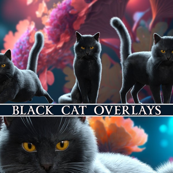 Black Cat overlays , Cat fantasy overlays, Cat Backdrop Photo Overlays , 3d render