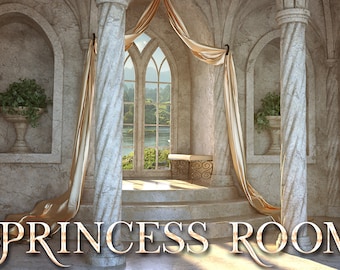 Princess Room backgrounds , Digital Backdrop, Princess Backdrop Photo Overlays , Photography Backgrounds and Backdrops