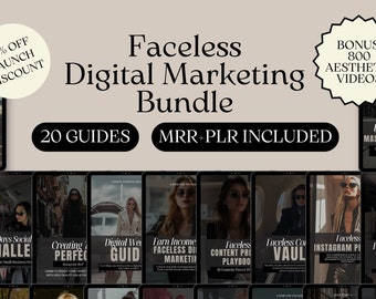 Lot de guides de marketing numérique sans visage avec droits de revente principaux DPP marketing numérique fait pour vous Guides de marketing numérique avec MRR DFY