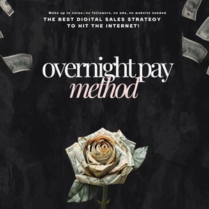 Op de afbeelding: Een zwarte achtergrond met een roze en witte tekstoverlay die "overnight pay method" luidt. Een enkele roos gemaakt van dollarbiljetten bevindt zich in het midden van de afbeelding.