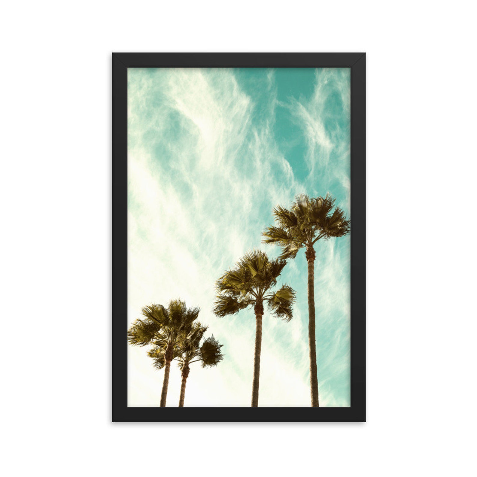 FRAMED Palm Tree Colour Photo Print Art Tropical Tree Wall Etsy