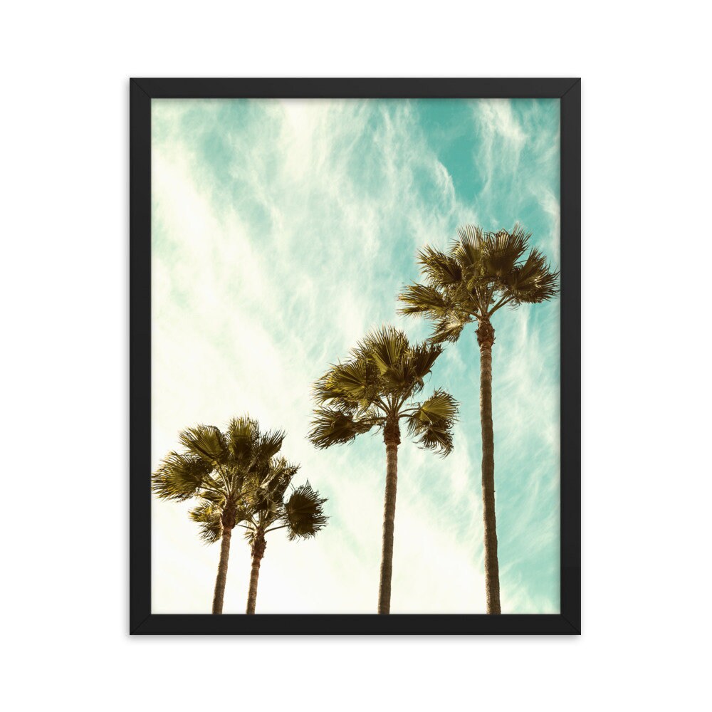 FRAMED Palm Tree Colour Photo Print Art Tropical Tree Wall | Etsy