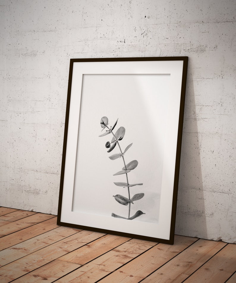Minimalist Eucalyptus Nature Wall Decor FRAMED Leaf Black and White Photo Print Clean Modern Poster Wall Art Photography Living Room