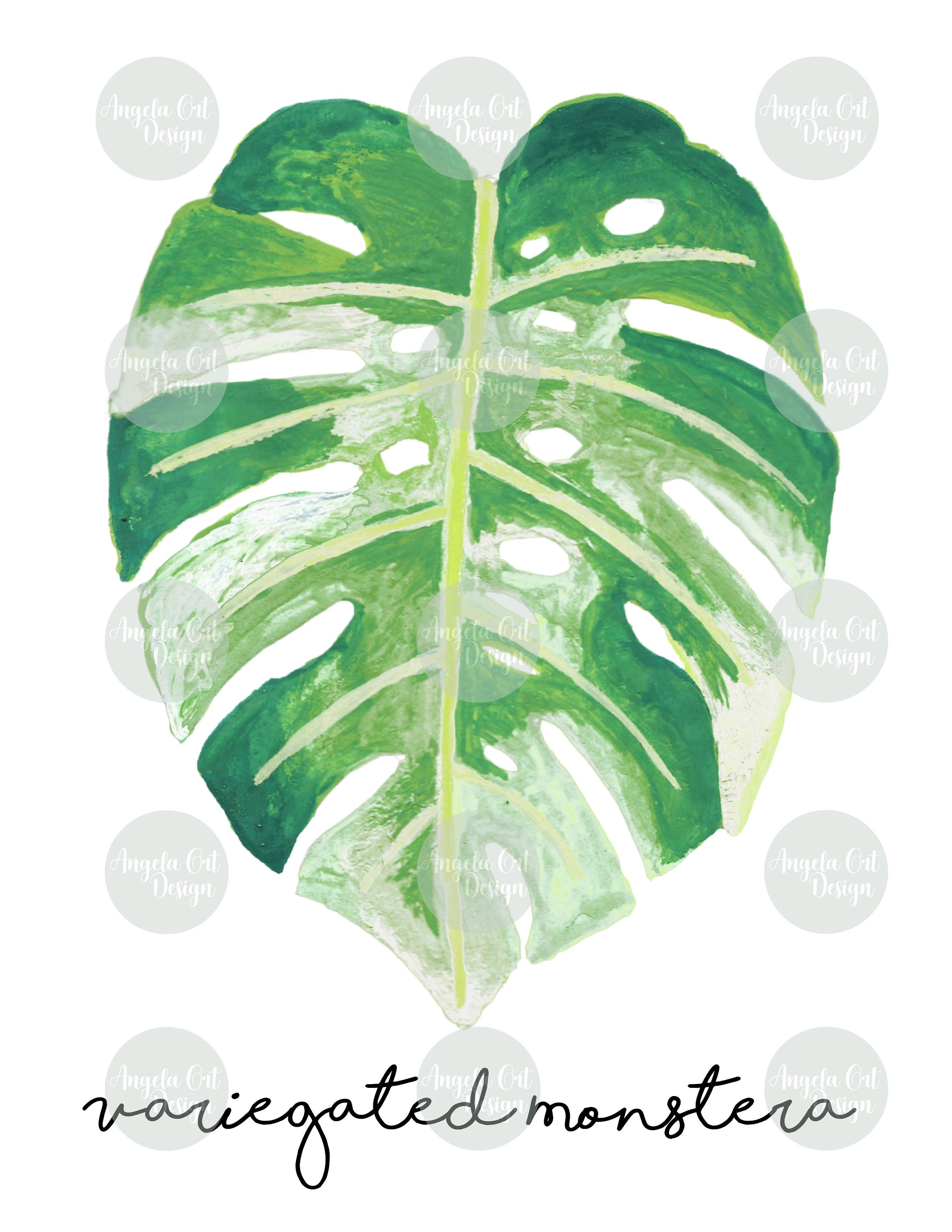Variegated Monstera Leaf Printable Digital Download | Etsy