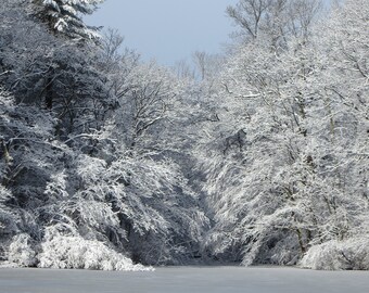 Otter Pond at its finest in winter.