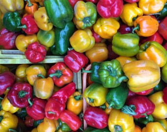 Kitchen Wall Print, Colorful Peppers at the Farmers Market, Food Print, Colorful Kitchen Prints, Kitchen Photography, Food Art, Square Photo