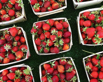 Food Photography, Strawberries For Sale at Farmers Market, Kitchen Wall Print, Red Kitchen Prints, Food Art Print, Square Photo