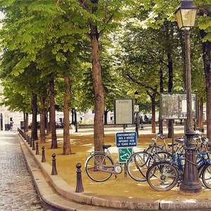 Paris Photography, Bicycles on Place Dauphine, Paris Prints, Paris Wall Art, Travel Photography, Travel Prints, Travel Wall Art, Paris Photo