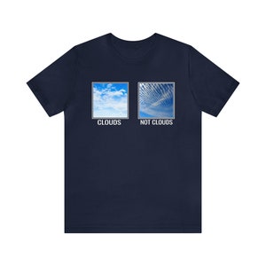 Chemtrails Awareness Unisex Tee Shirt, Conspiracy Theory, Tin Foil Hat, Anti Establishment, Liberty, Freedom, Prepper image 4