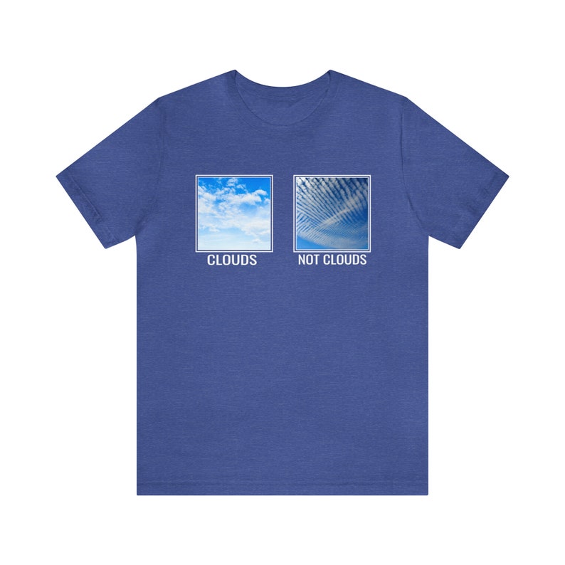 Chemtrails Awareness Unisex Tee Shirt, Conspiracy Theory, Tin Foil Hat, Anti Establishment, Liberty, Freedom, Prepper image 3