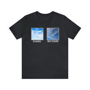 Chemtrails Awareness Unisex Tee Shirt, Conspiracy Theory, Tin Foil Hat, Anti Establishment, Liberty, Freedom, Prepper image 5