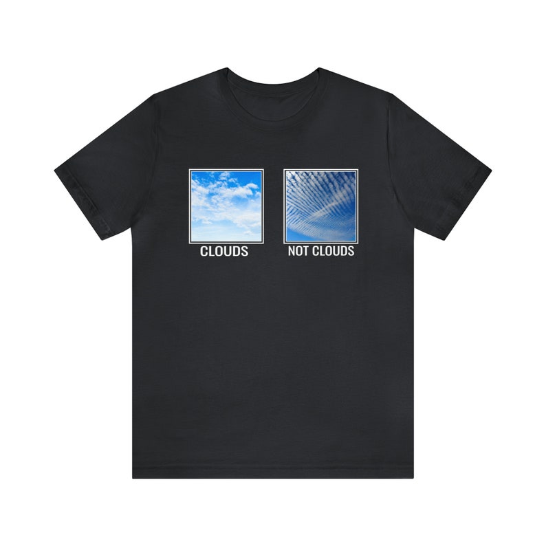 Chemtrails Awareness Unisex Tee Shirt, Conspiracy Theory, Tin Foil Hat, Anti Establishment, Liberty, Freedom, Prepper image 5