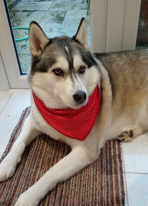 Reversible Dog Bandana - Fleece Dog Bandana - Polka Dot Dog Bandana - Present for Dog - Made to fit - Handmade - Free UK Shipping