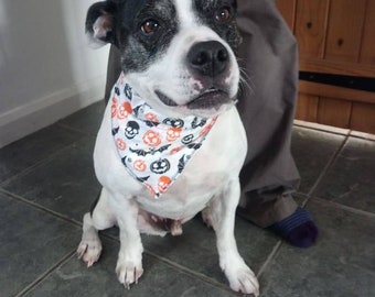 Halloween Dog Bandana - Pumpkin Dog Bandana-Dog Accessories - Gift for Dog - On Collar Bandana - Handmade - Free UK Shipping