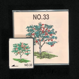 Può includere: Primo piano di una carta con un disegno di un albero con frutti rossi. La carta è etichettata "NO. 33".