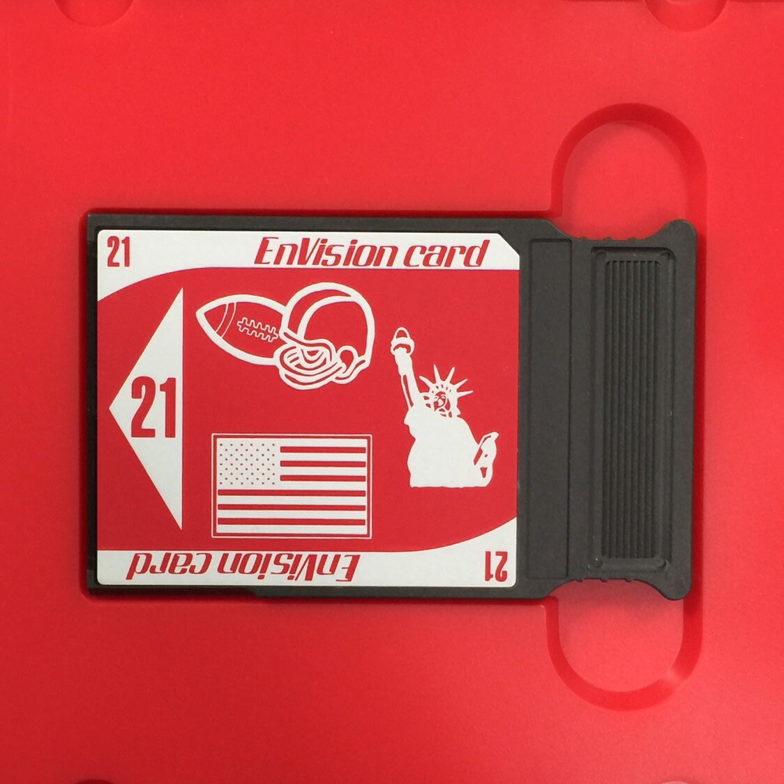 Envision Embroidery Designs Card 21 for Janome Elna Kenmore Etsy