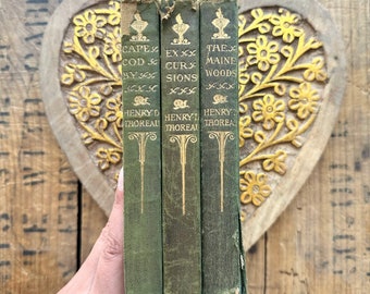 Antique set of Henry D. Thoreau books, Cape Cod, Excursions, and The Maine Woods, green leather, life in nature woods, romantic book set