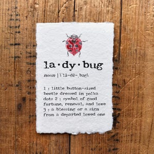 Definizione di coccinella stampata in carattere macchina da scrivere su carta fatta a mano, acquerello di un coleottero a pois rosso a forma di cuore colorato, citazioni di arte murale di insetti