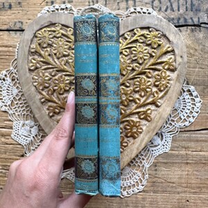 May include: Two vintage hardback books with blue covers and gold and black decorative designs. The books are titled "MER DE L'ISLE" and "L'AMOUR DE L'ISLE".