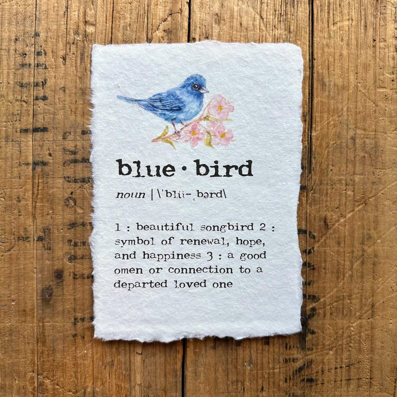 May include: A watercolor illustration of a bluebird perched on a branch with pink flowers. The image is accompanied by a definition of the word "bluebird" as a noun, with the pronunciation and three meanings.