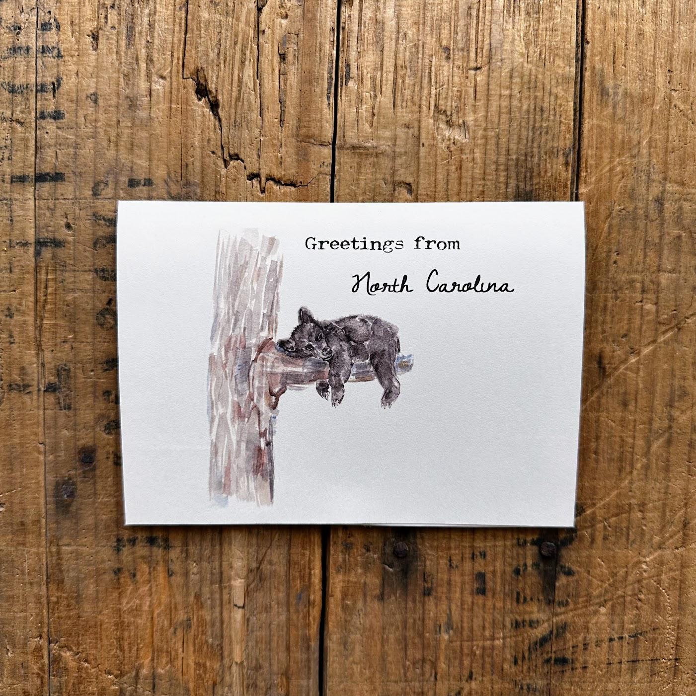 Greetings from North Carolina with black bear sleeping in a tree, Blue Ridge Mountains, Asheville, Maggie Valley, Charlotte, thinking of you