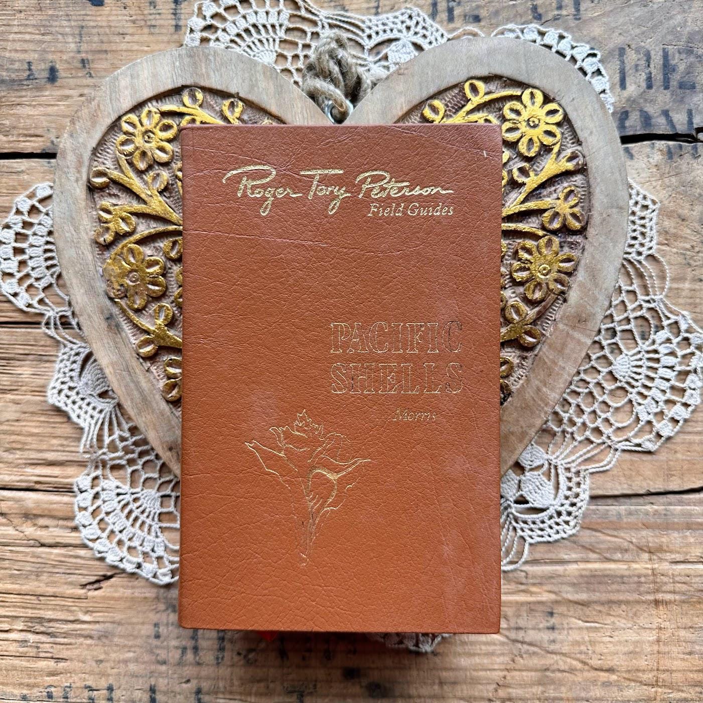 Vintage Seashell Book - Etsy