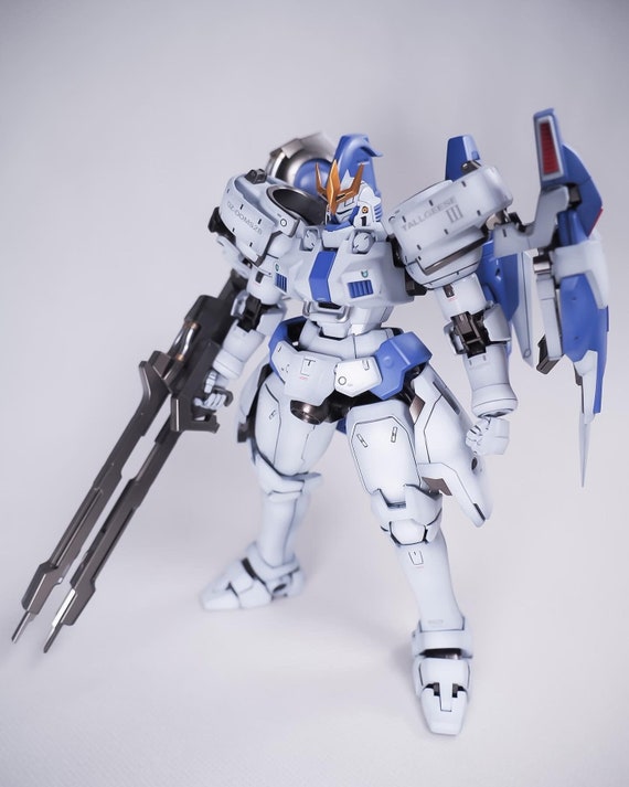 Painted Premium (limited Edition) Bandai MG 1/100 