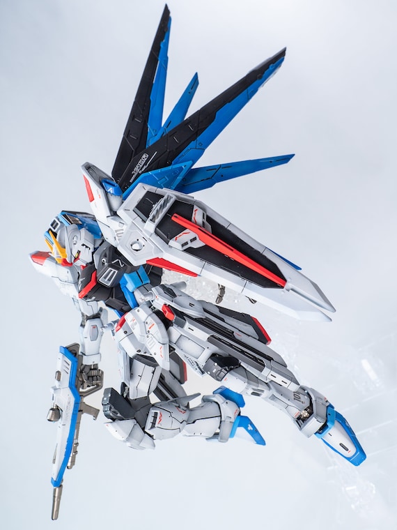 新品未開封　BANDAI 　FREEDOM GUNDAM Ver.GCP RG 1/144 Freedom Gundam Ver. GCP (Gundam China Project