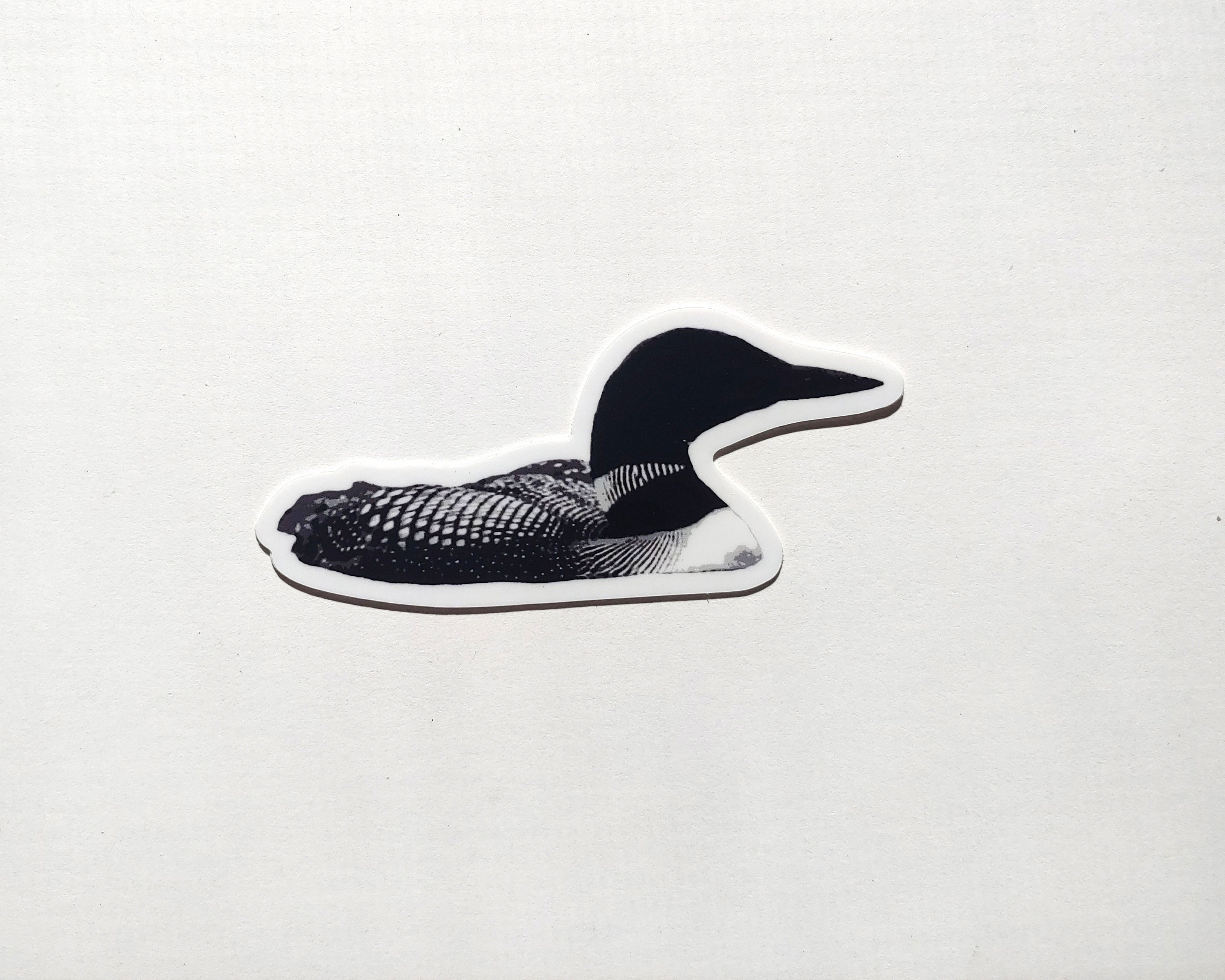 Common Loon Weatherproof Vinyl Sticker - Etsy