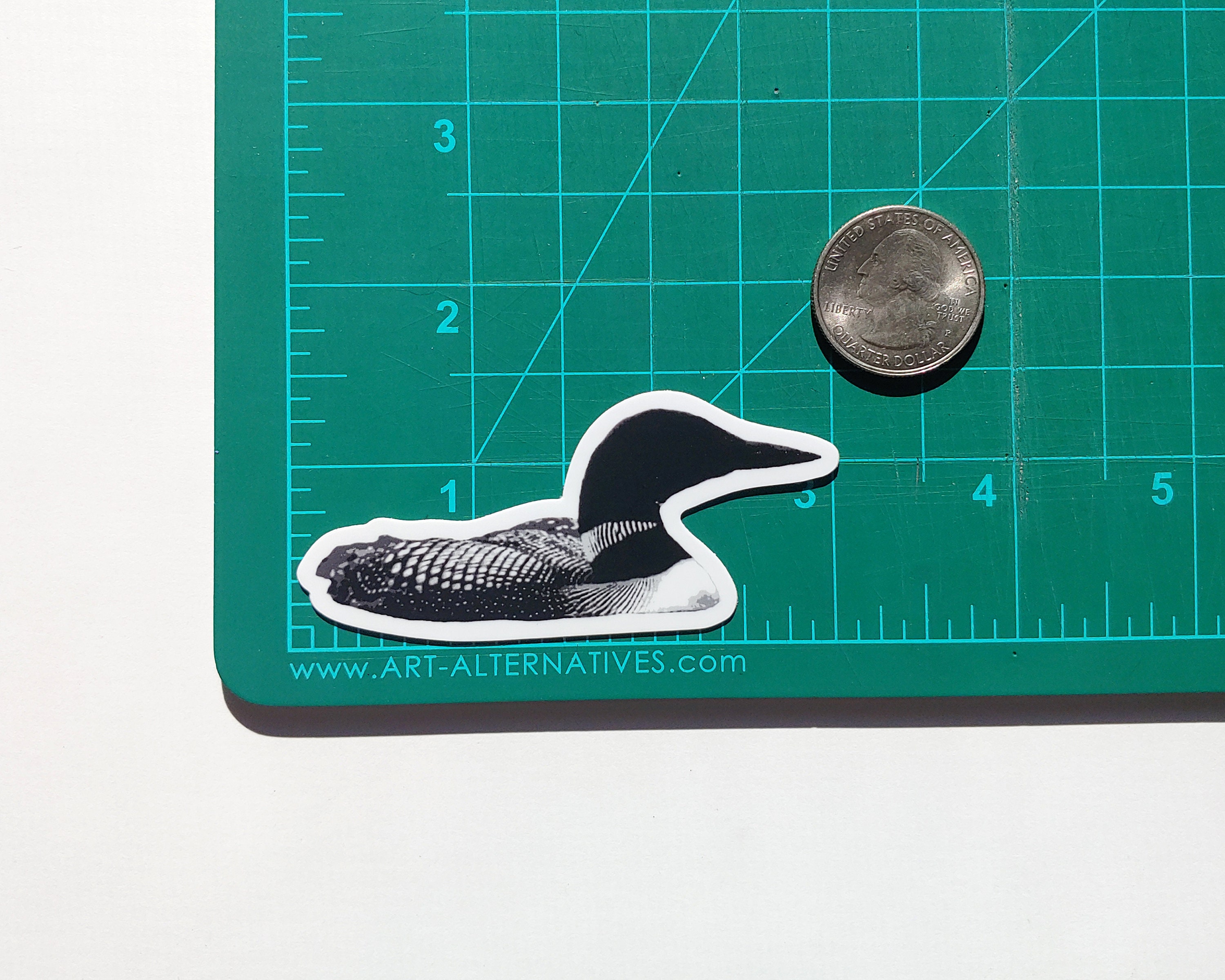 Common Loon Weatherproof Vinyl Sticker - Etsy