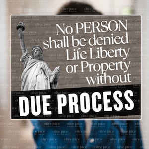May include: A black and white image of the Statue of Liberty with the text "No person shall be denied Life Liberty or Property without DUE PROCESS" on a brown background.