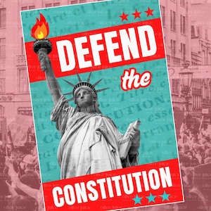Defend the Constitution 20x30 Protest Sign Fight Fascism Impeach Trump Due Process Liberty and Justice  for All