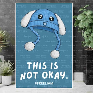 May include: A blue cartoon hat with white ear flaps and pom-poms, with the text "THIS IS NOT OKAY" and the hashtag "#FREELIAM" on a blue background. The hat has a smiling face.