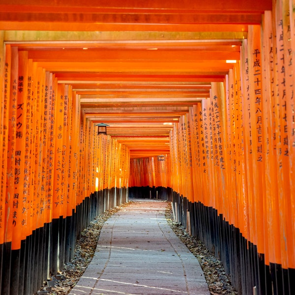 Fushimi Inari Shrine in Kyoto, Japan Wall Art Print Wallpaper, Nature Photography, Printable Photo Print, Japanese Art