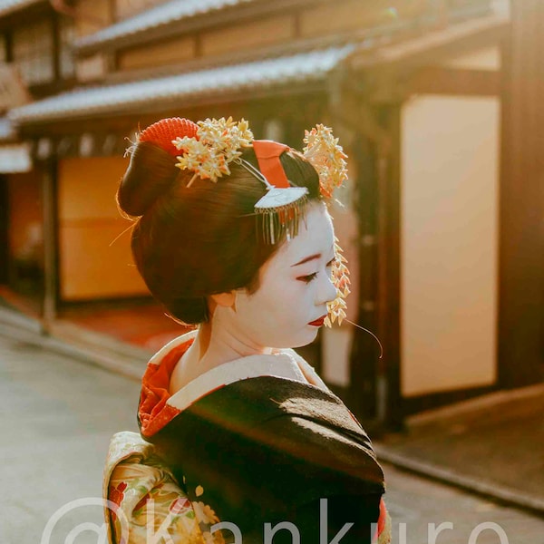 Maiko/Geisha in Kyoto, Japan Wall Art Print Wallpaper, Nature Photography,Printable Photo Print