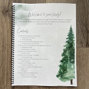 Forest study, homeschool unit study, names of God character of God, homeschool curriculum, nature study, morning basket, nature based image 2