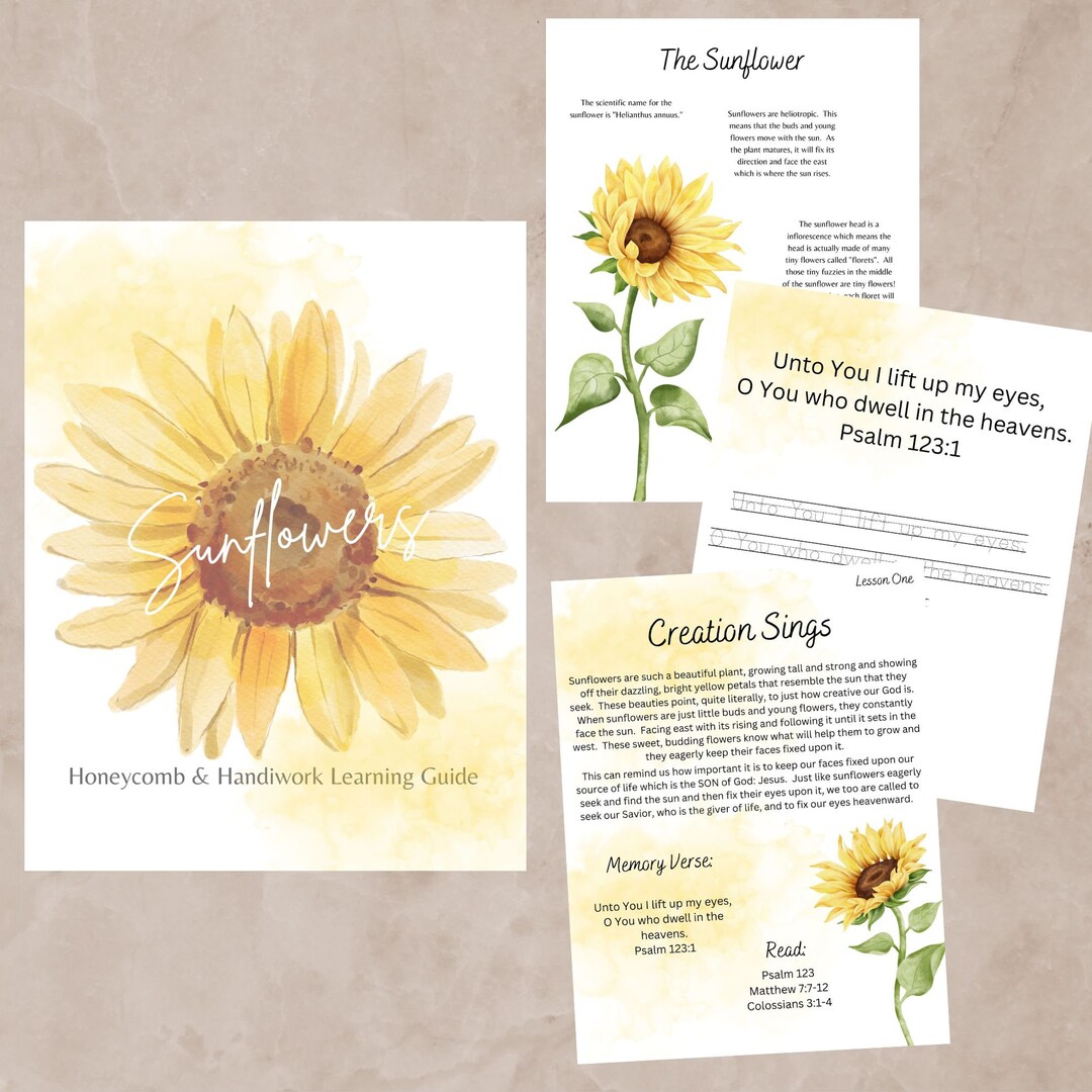 Sunflower Unit Study, Sunflower Crafts, Kids Nature Activity, Charlotte ...